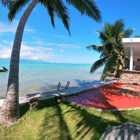 Moorea - Bungalow Chez Papou Afareaitu Eksteriør billede