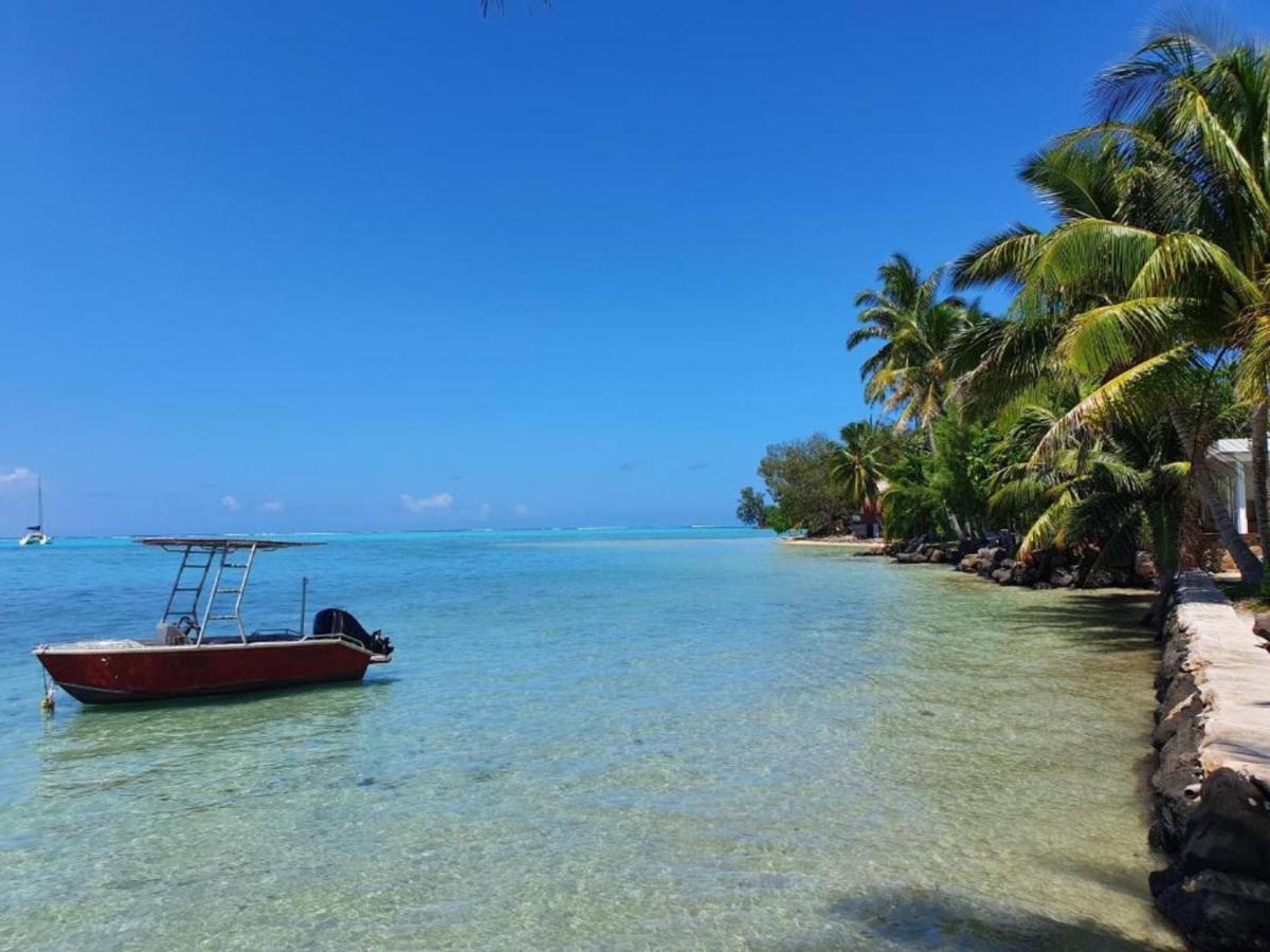 Moorea - Bungalow Chez Papou Afareaitu Eksteriør billede