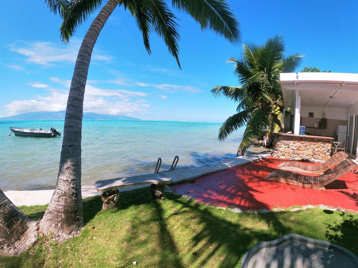 Moorea - Bungalow Chez Papou Afareaitu Eksteriør billede