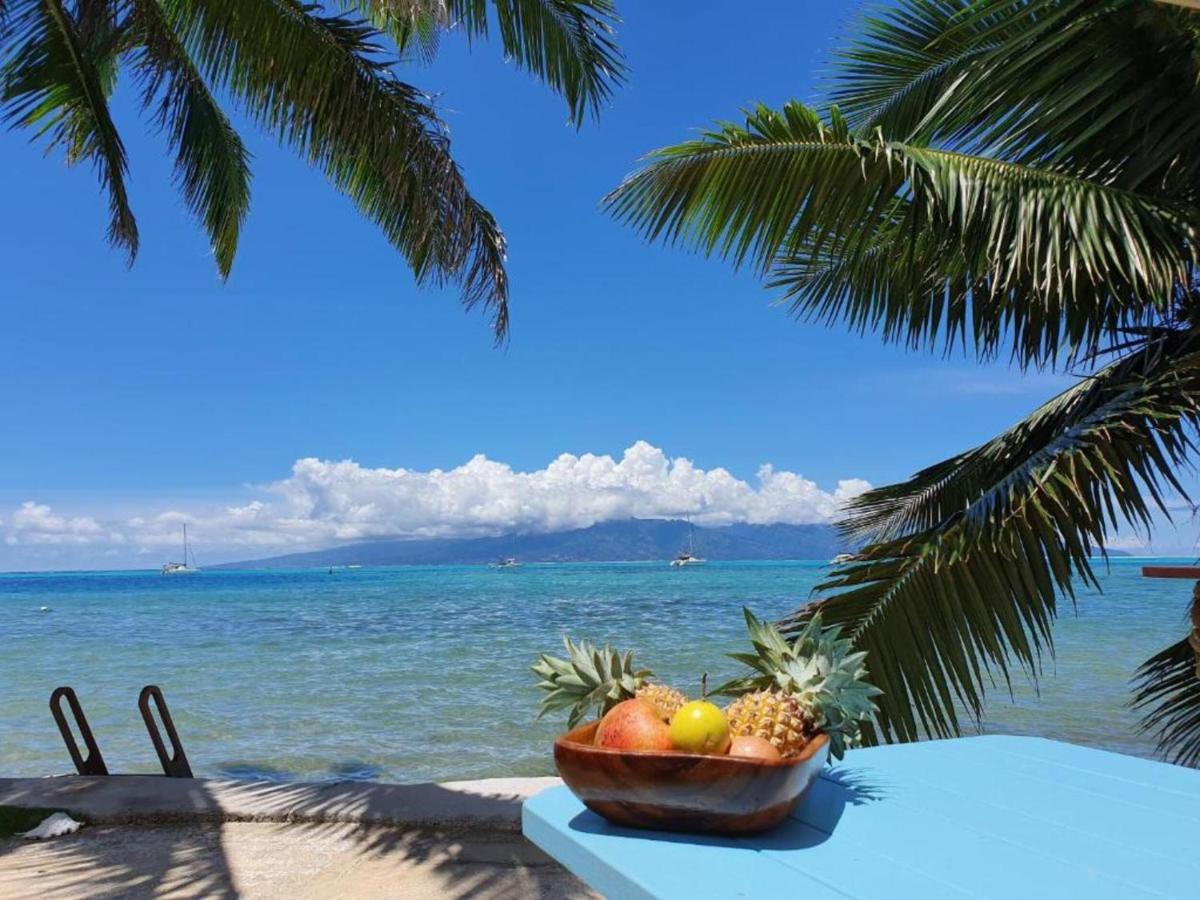 Moorea - Bungalow Chez Papou Afareaitu Eksteriør billede