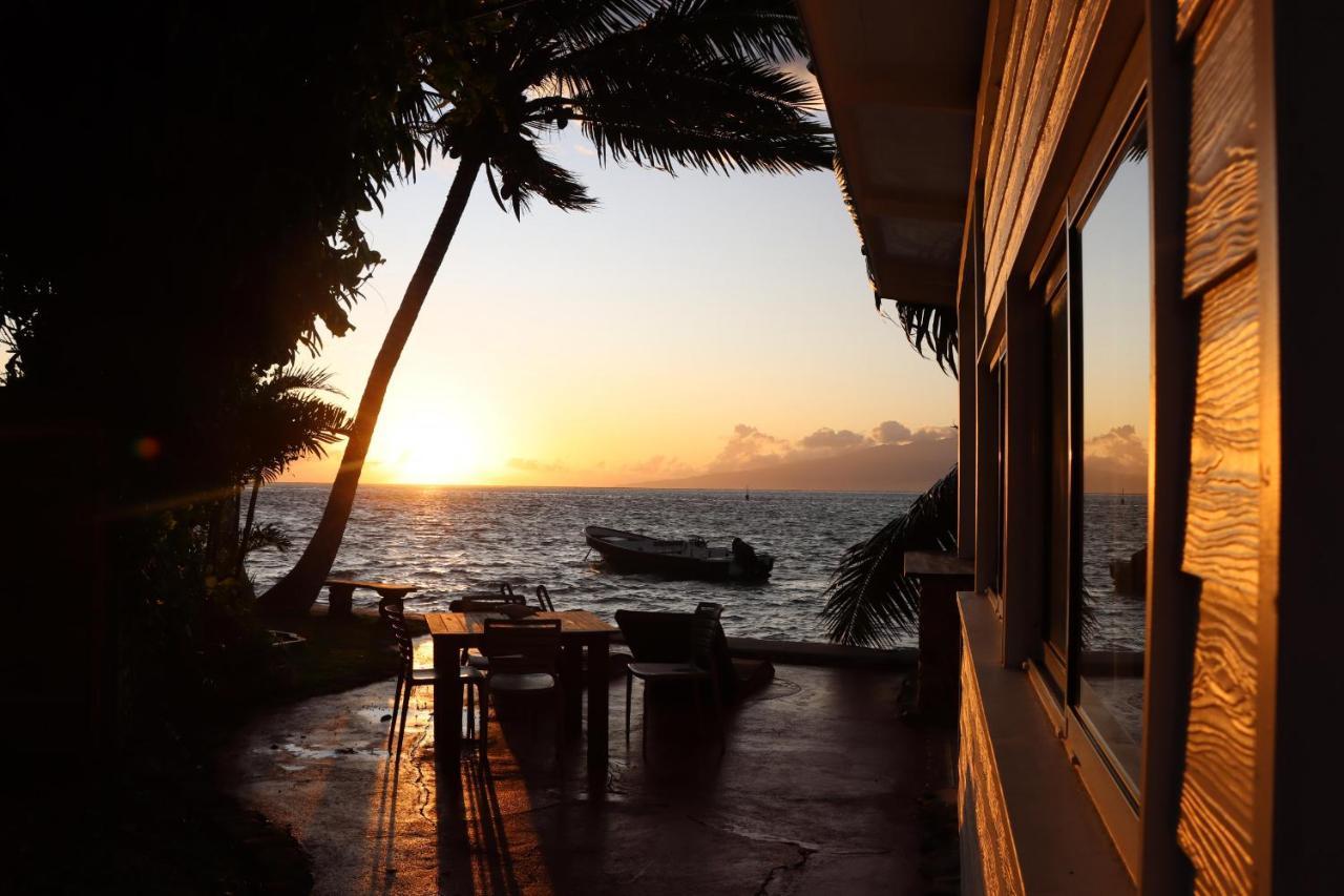 Moorea - Bungalow Chez Papou Afareaitu Eksteriør billede