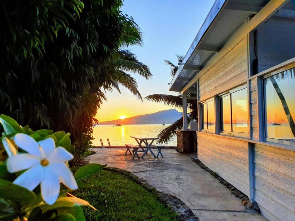 Moorea - Bungalow Chez Papou Afareaitu Eksteriør billede